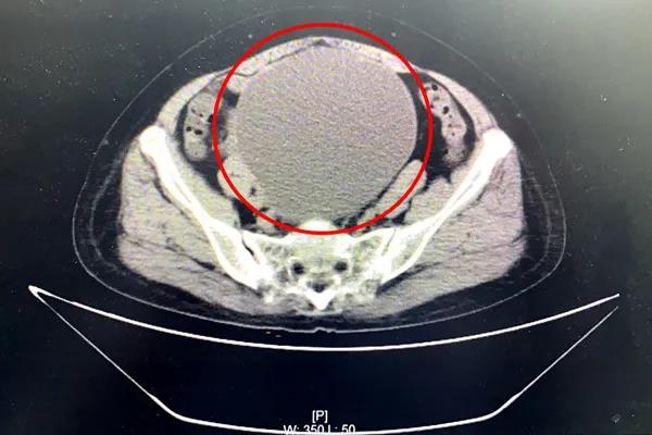 微信图片_20210804151214.jpg 微信图片_20210804151214.jpg