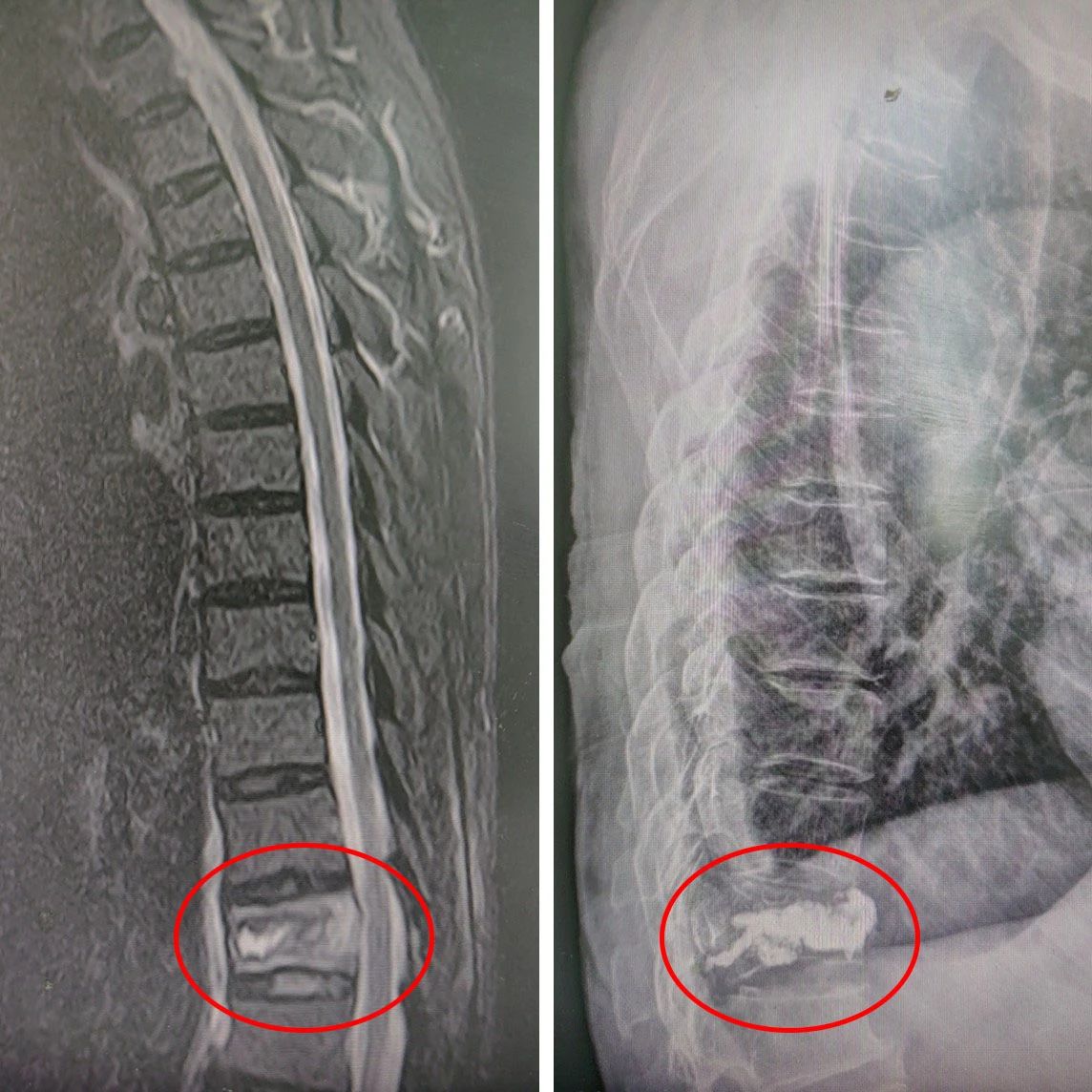 微信图片_20240204134530.jpg 微信图片_20240204134530.jpg