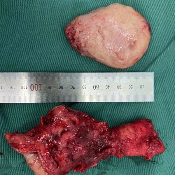 微信图片_20240412085837.jpg 微信图片_20240412085837.jpg