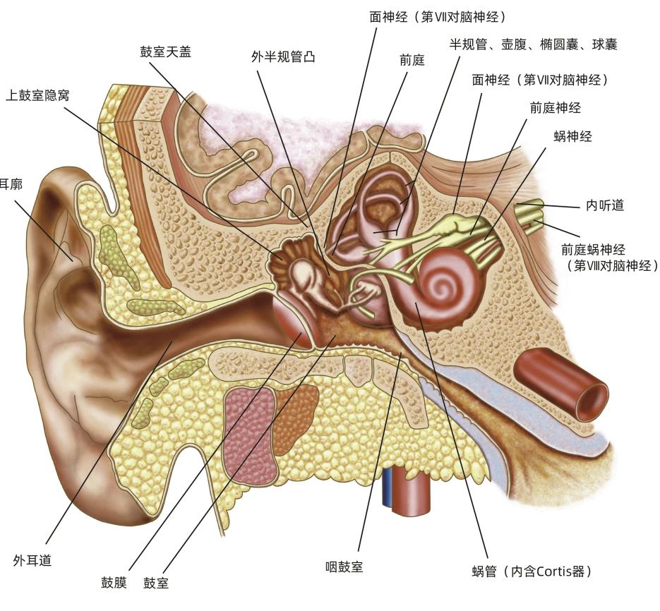 微信图片_20240628163020.jpg 微信图片_20240628163020.jpg