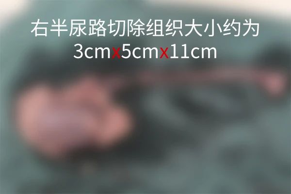 微信图片_20241223164346.jpg 微信图片_20241223164346.jpg