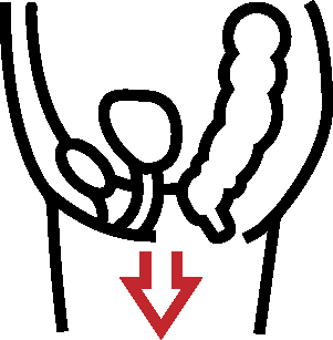 资源 1.png 资源 1.png