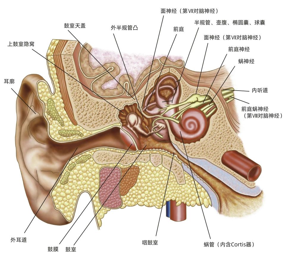 微信图片_20250208170515.jpg 微信图片_20250208170515.jpg